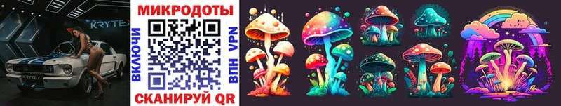 Купить где  Сунжа  Псилоцибиновые грибы Magic Shrooms